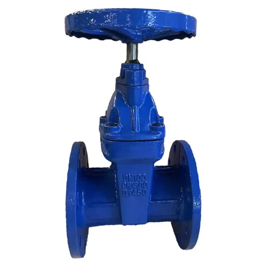 BS5163 Resilient Gate Valve BS5163 Resilient Gate Valve